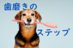 歯ブラシを加える犬